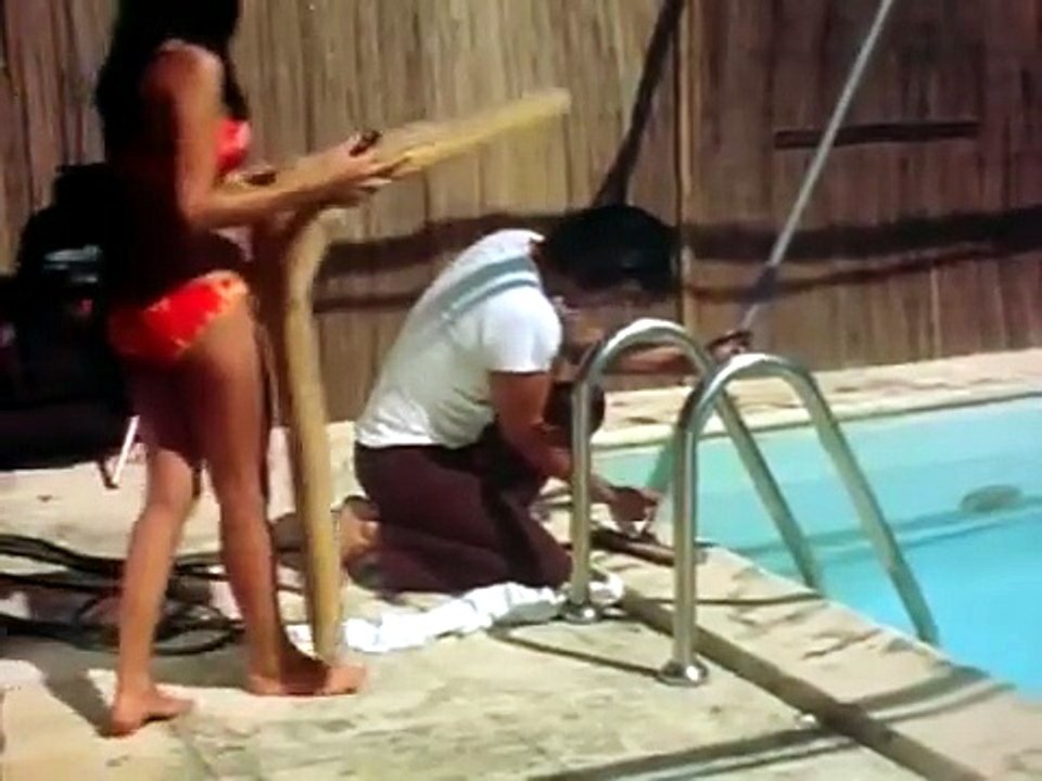 DROGUE STORY (1972)