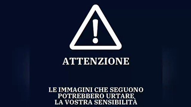 Auto a folle velocità investe i pedoni a Modena, le immagini choc delle telecamere di videosorveglianza