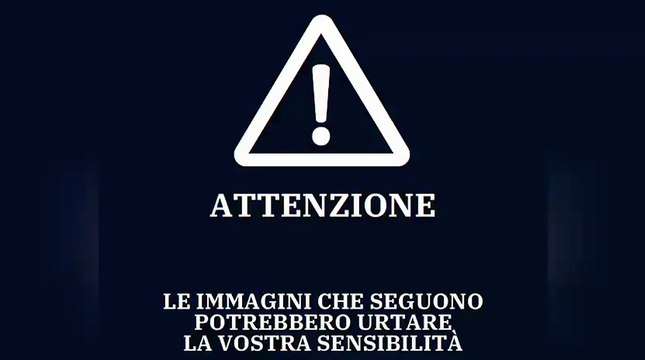 Auto a tutta velocit? sulla folla in centro a Modena: passanti falciati - Il video