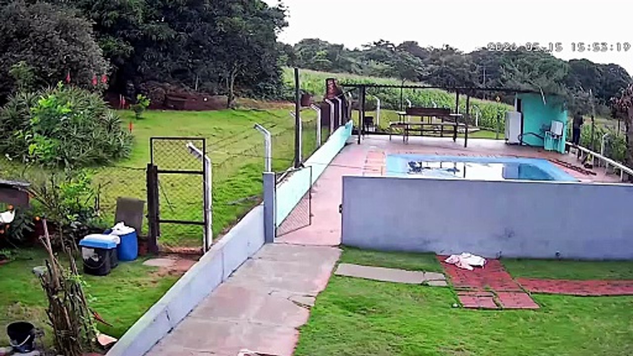 Câmera de segurança registra batida frontal entre caminhões que deixou quatro mortos em Londrina