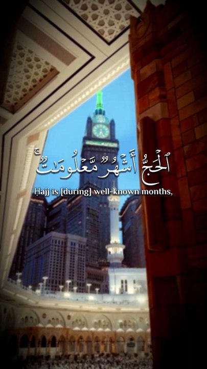 ﴿ الْحَجُّ أَشْهُرٌ مَعْلُومَاتٌ ﴾
