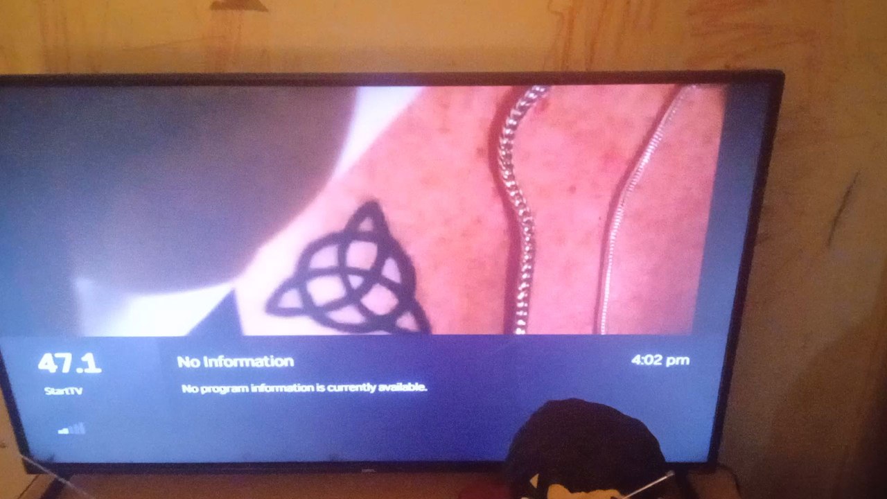 Nikki ASH New Entrance video at MTV Music Video
