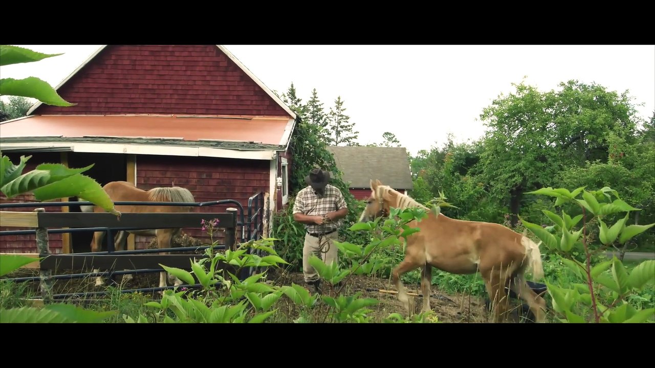 Hearts & Horses (2023) Full Movie | Family Drama | Father-Daughter Horse Story