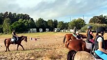 Kurnell Boarding Stables and Riding School