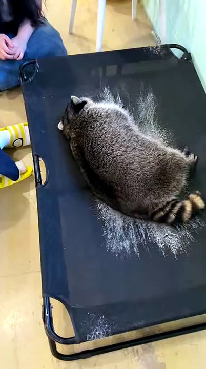 Oh lawd