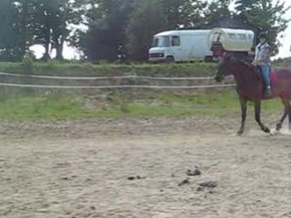 Séance obstacle 14 Juin 2008