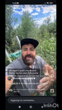 Michele monopoli story c'è olio e olio d'oliva