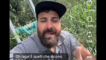 Michele monopoli story c'è olio e olio d'oliva