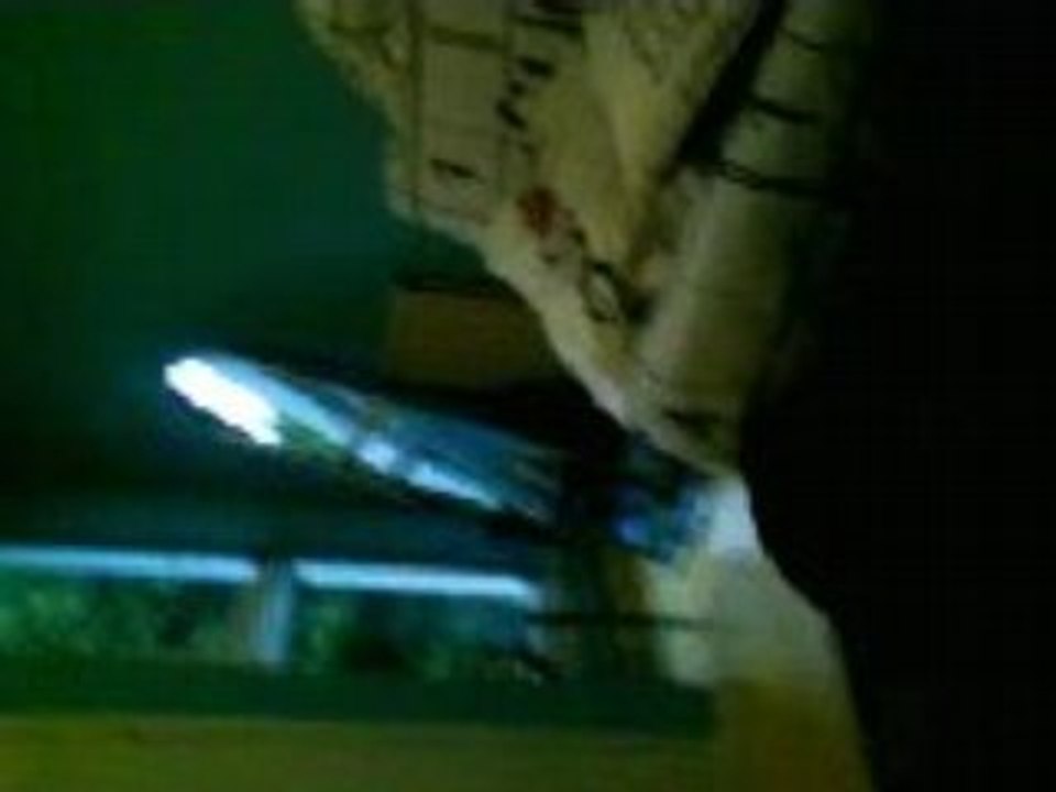 Bryan danse tectonik