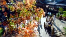 祥序记未删减完整版-1线上看 - 独播库_7
