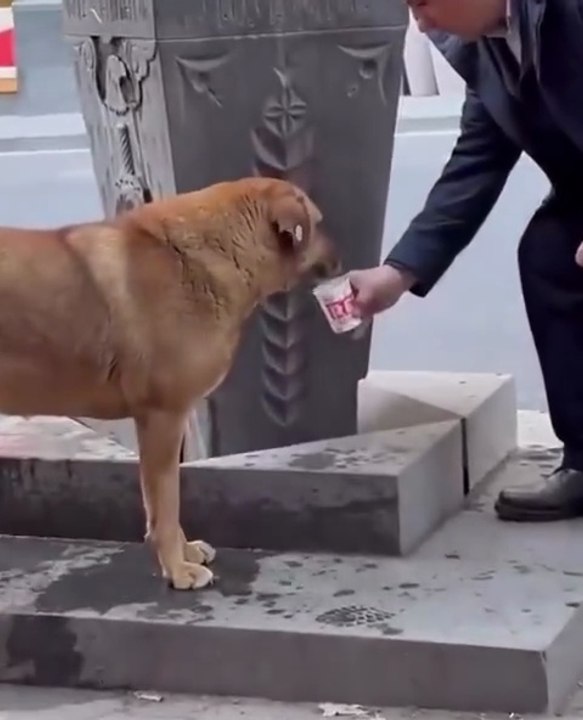 Heartwarming Moment: Elderly Man Gives Water to...