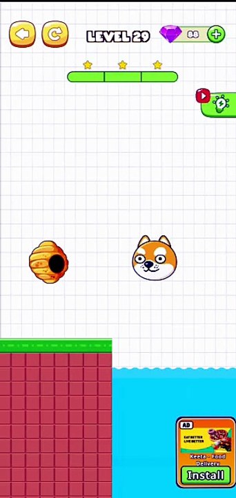 Save The Pets Level 29