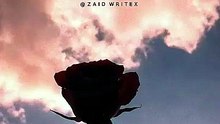 💔 Heart Touching Poetry Lines | Sad Urdu Poetry