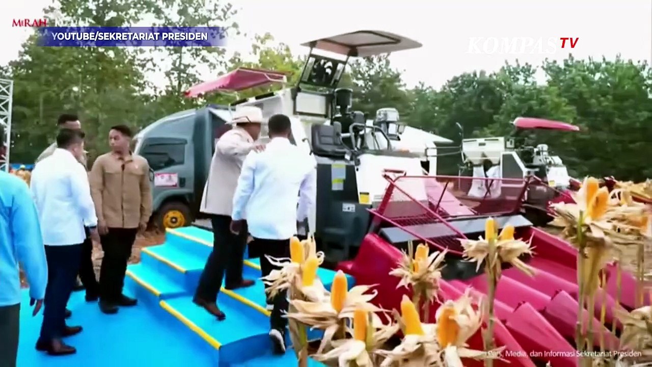 Gaya Prabowo Kendarai Traktor Combine Corn Harvester saat Panen Jagung di Tuban