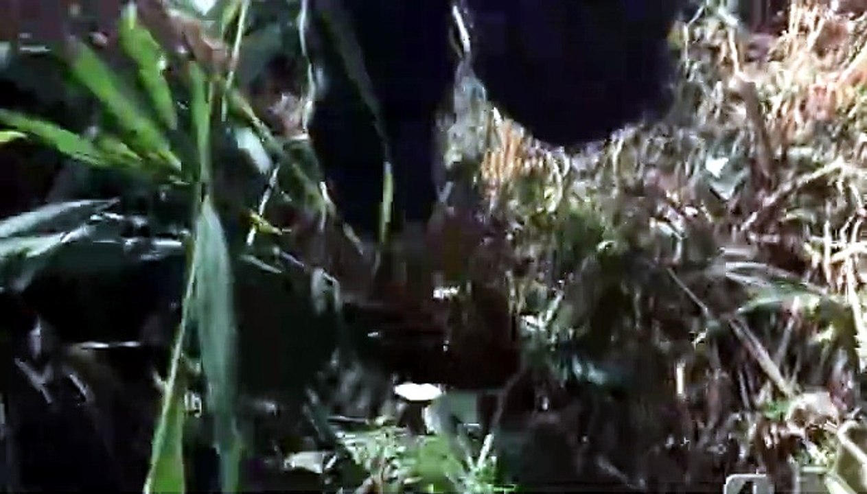 Sono Sartana, il vostro becchino (G. Garko, Italia 1969)