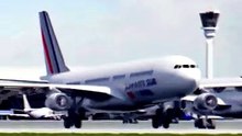 Plane Acting Like a Bird 😂✈️ Funny Viral Moment