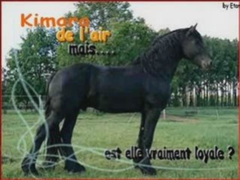 Horse-valley