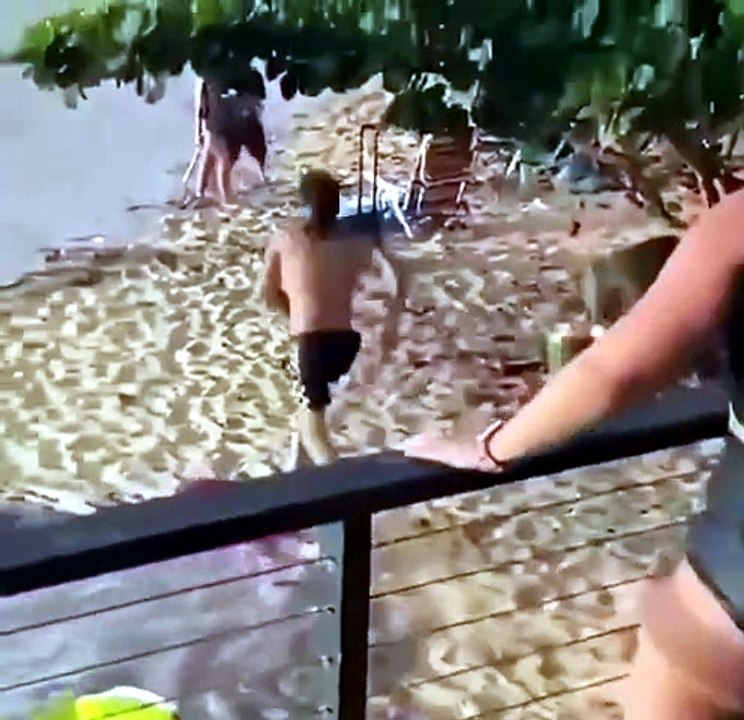 This funny viral compilation delivers nonstop comedy moments 😂
