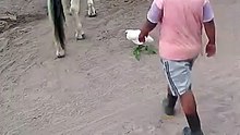 Enjoy the best funny internet videos packed into one viral compilation 🤣