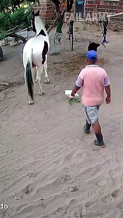 Enjoy the best funny internet videos packed into one viral compilation 🤣