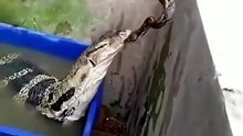 This funny clips collection brings you the most viral internet moments 🤣