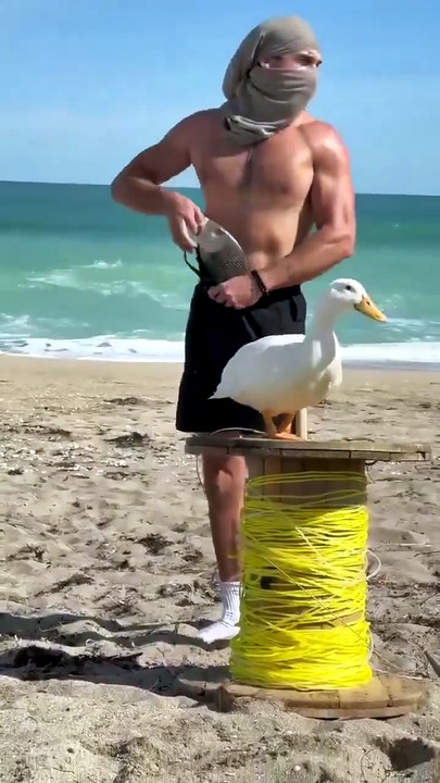 Watch the funniest viral videos online in this comedy compilation 😆