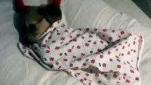 Enjoy nonstop laughs with this funny viral compilation 😂