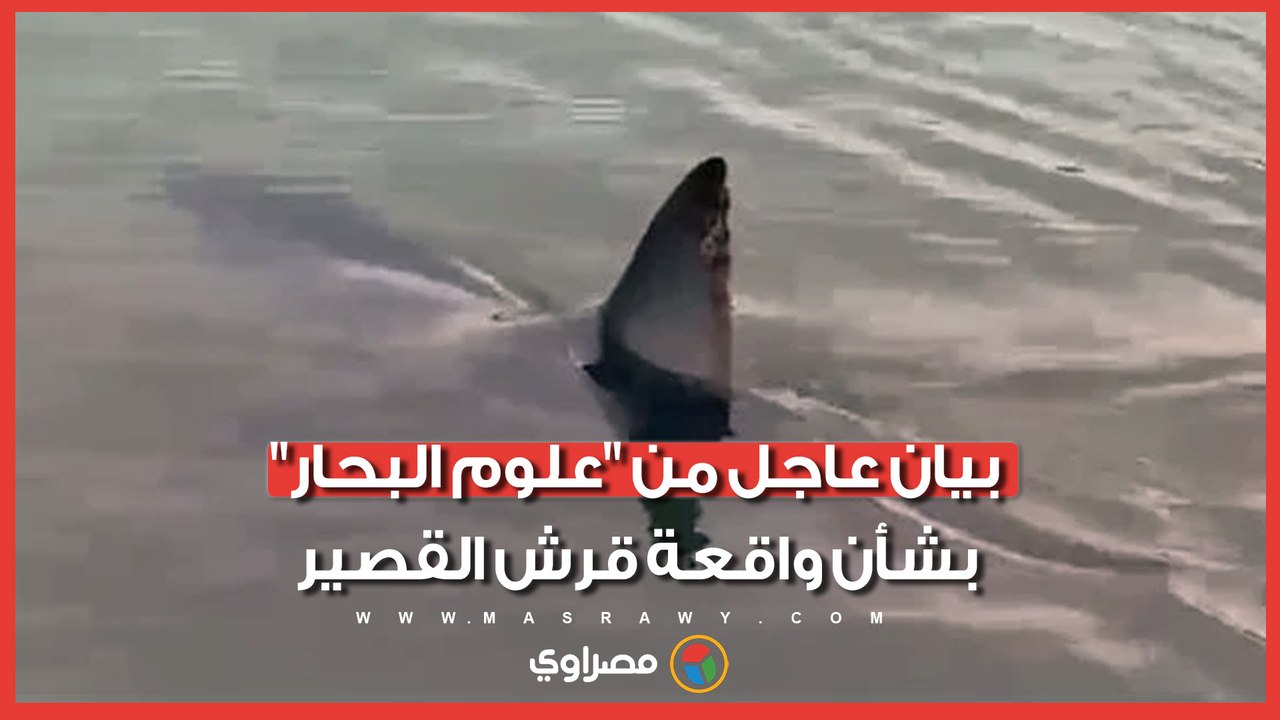 "سلوك غير علمي".. "علوم البحار" تنتقد طريقة اصط...