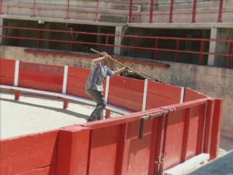 Course amboulé école taurine st rémy de provence