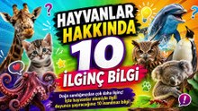 Hayvanlar Hakkında 10 İlginç Bilgi