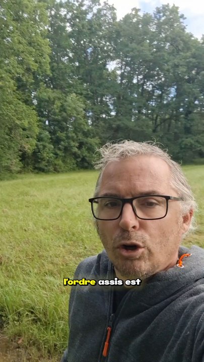 Le assis, le doliprane de l'éducation...