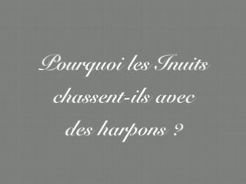 Pourquoi les Inuits chassent-ils avec des harpons ?