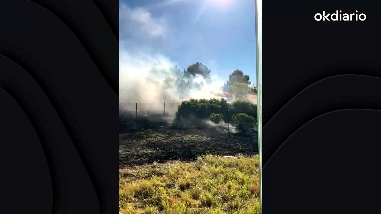 Pudo acabar en tragedia: un incendio se queda a menos de 10 metros de alcanzar el hospital de Son Espases