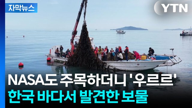 [자막뉴스] '지구촌 교과서' 되는 완도...세계가 주목한 미래 먹거리 / YTN