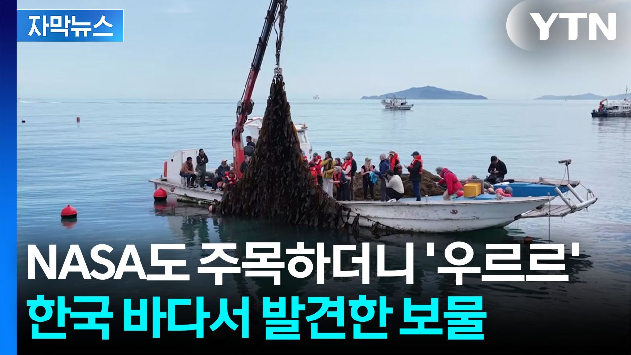 [자막뉴스] '지구촌 교과서' 되는 완도...세계가 주목한 미래 먹거리 / YTN
