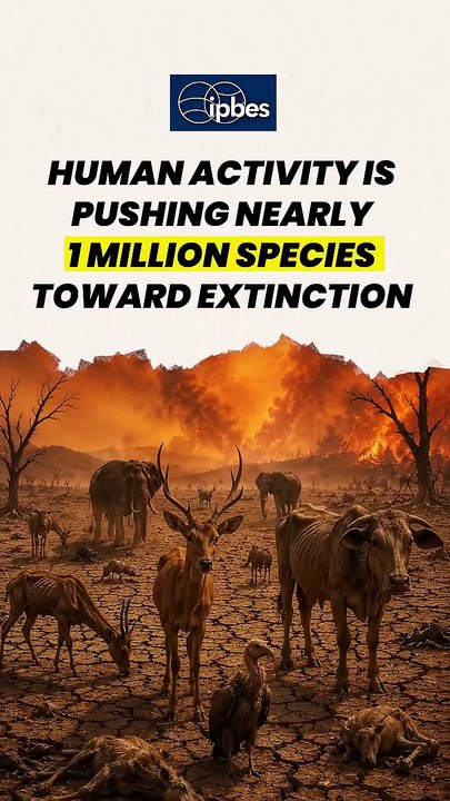 When Planet Dies...|| Acharya Prashant