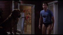 Scott und Hutsch - Eine Dogge zum Knutschen (1989) stream deutsch HD