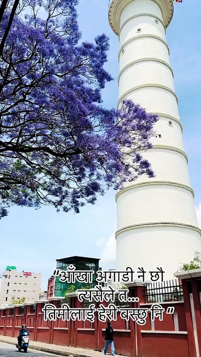 Summer Floral :: Jacaranda ::