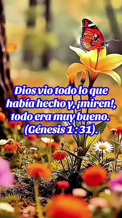 La creación divina
