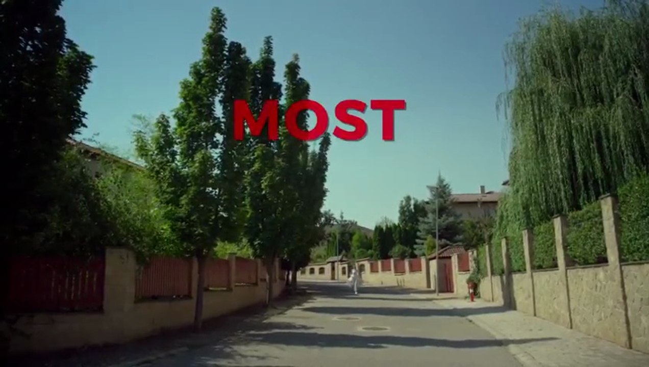 Most van most 2019