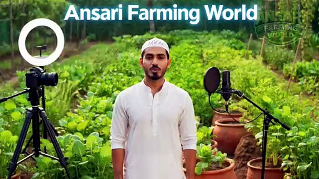 सब्जी वाले से लाओ और घर में उगाओ 😱 | 10 Vegetables You Can Grow in Pots #homegardening #farming