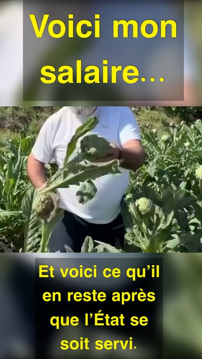 #humour #pourrire #réalité #réfléchir #solution