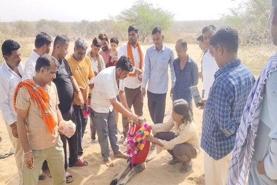 Video: लाठी में मृत वानर का धार्मिक रीति से अंतिम संस्कार, उमड़े ग्रामीण