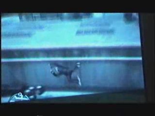 GTA4 - Suicidal Stunts