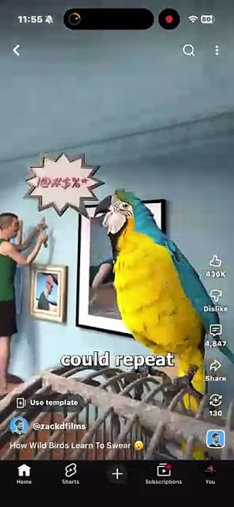 RPReplay_Final1779033367