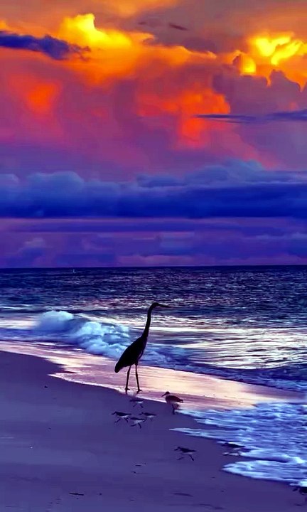 Peaceful Nature Ambience _ أجواء الطبيعة الهادئة _ Ambiance Nature Paisible _ Atmosfera Naturale Pacifica