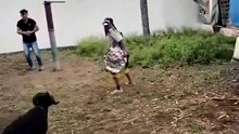 When Sheep Choose Violence: Funny Ram Attacks!