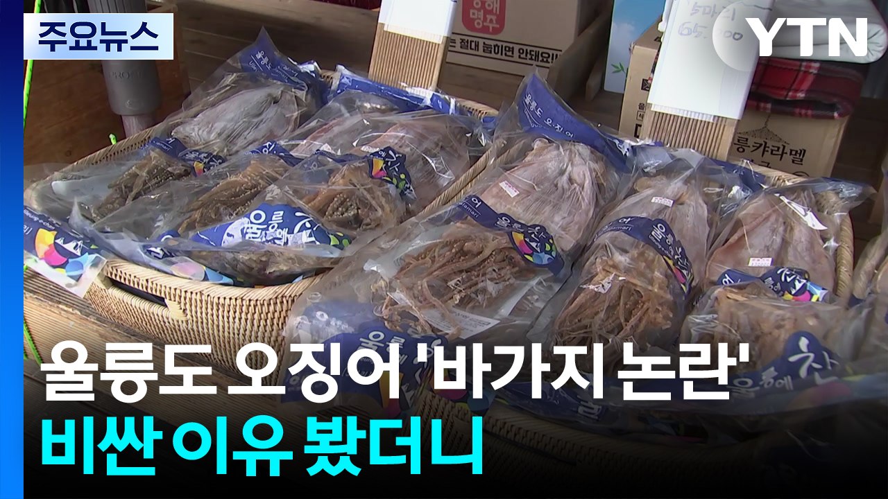 울릉도 오징어 '바가지 논란'...비싼 이유 봤더니 / YTN