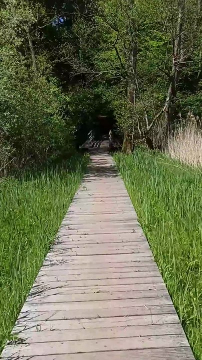 Radtour am Drüsensee