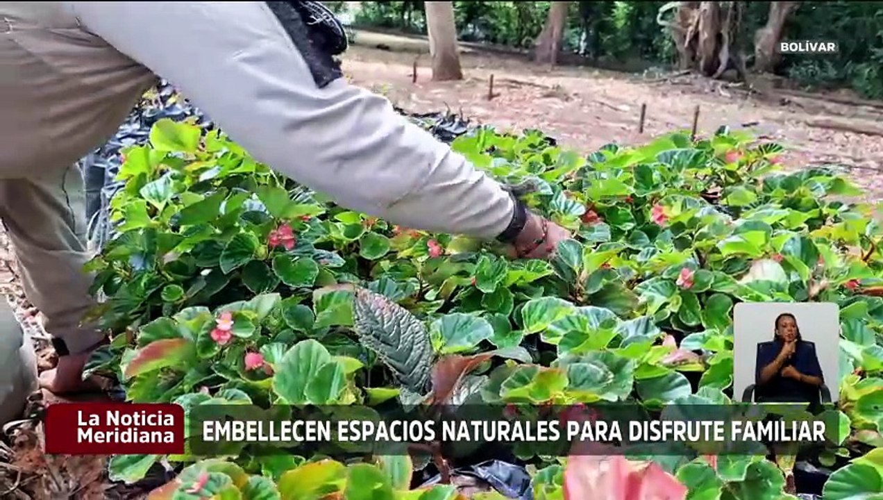 Bolívar | Habitantes de Ciudad Guayana agradecen los trabajos realizados en el Parque La Llovizna